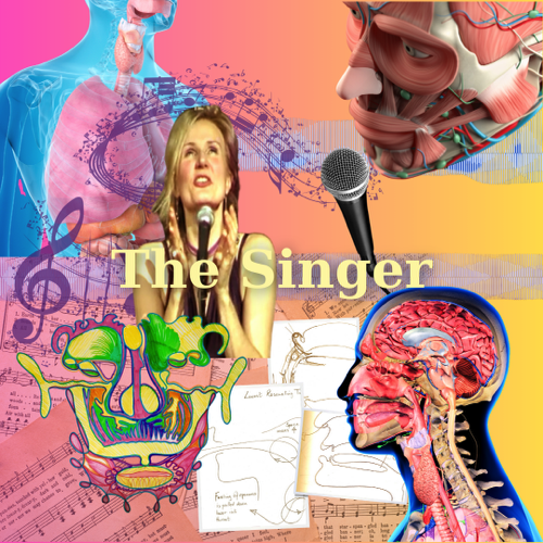 Interior design Children's Packages - 5 Interior design Children's Packages - 5